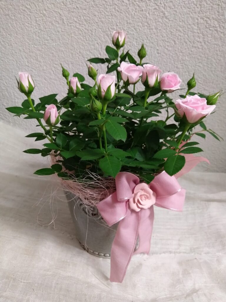 Img 20210708 012102