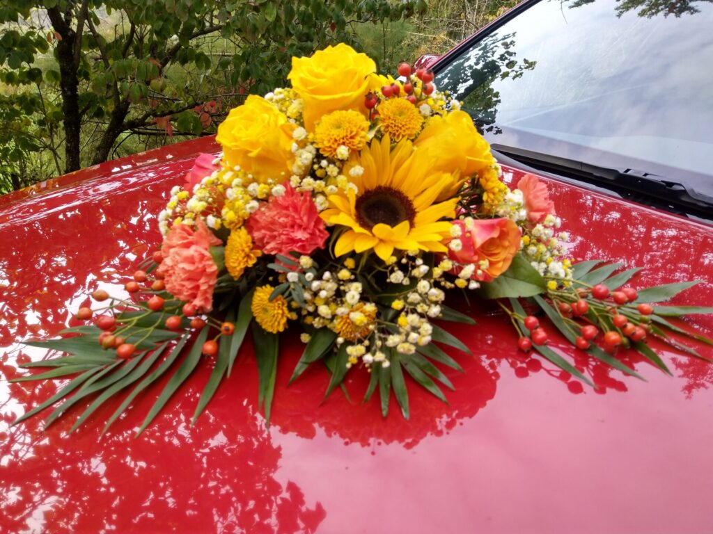Img 20221004 102447