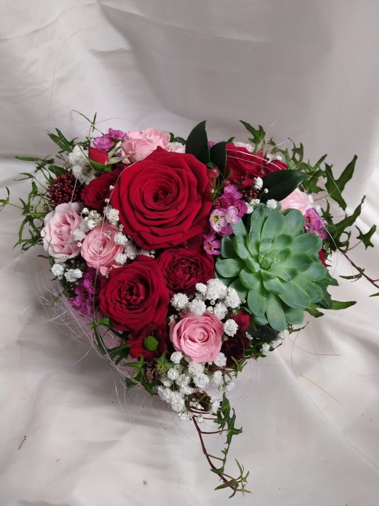 Img 20240214 001217
