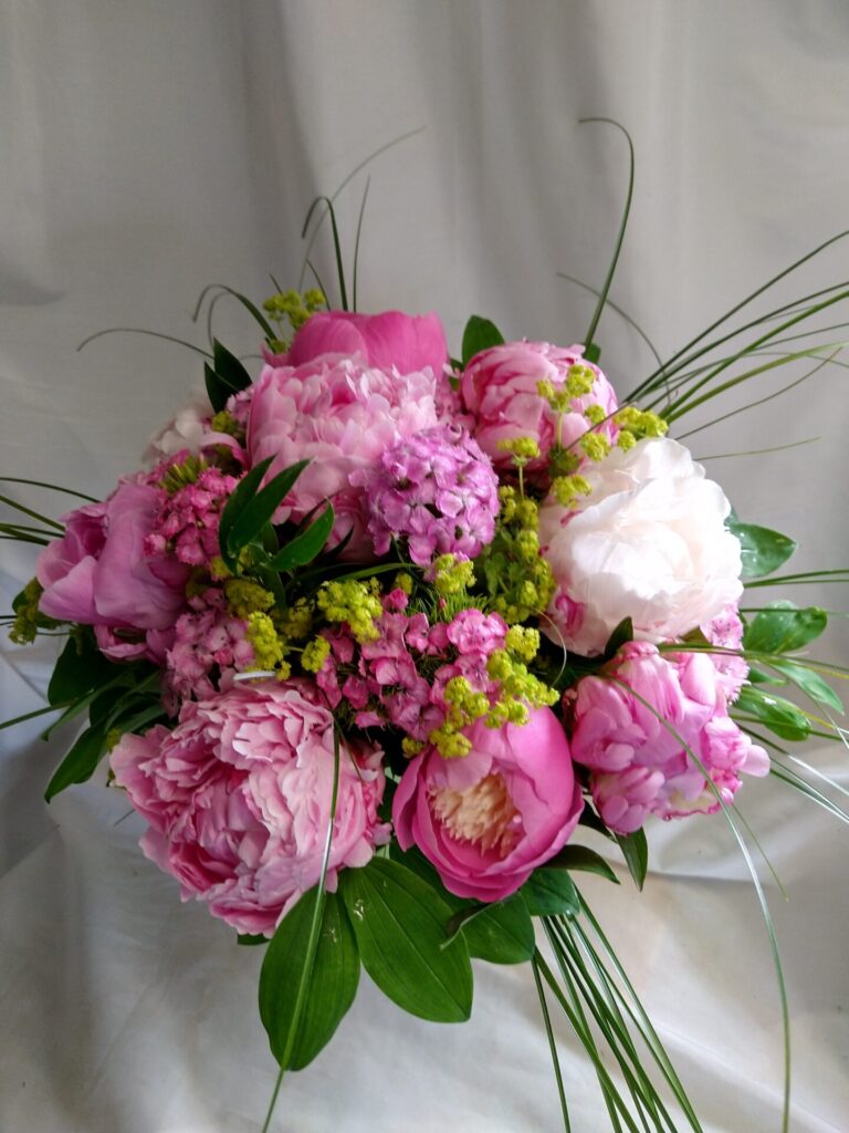 Img 20240527 105024